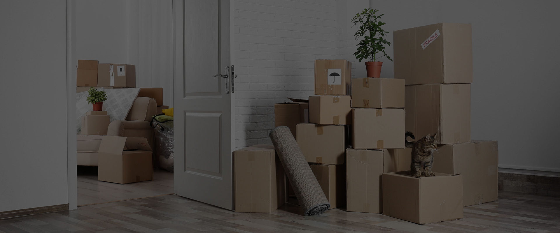 Image: boxes stacked in a living room